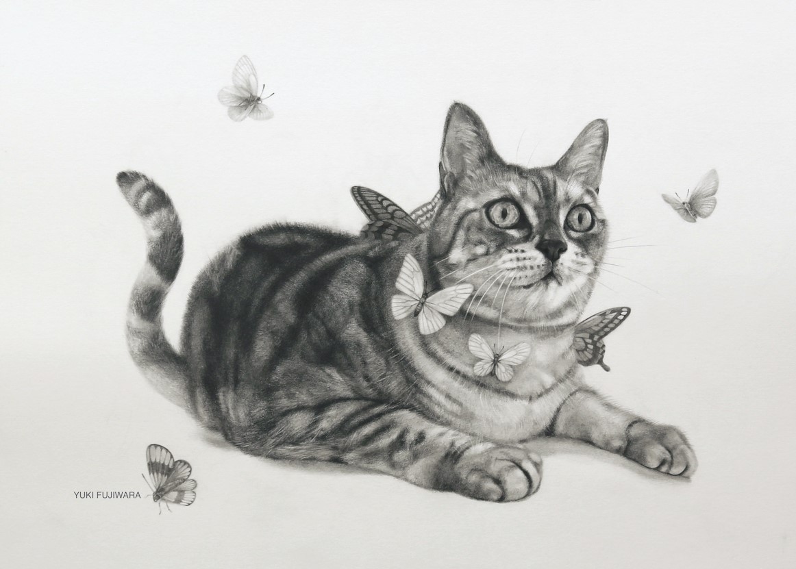 絵の描写表現法　猫