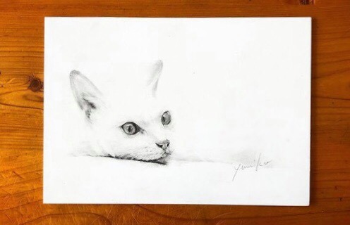 鉛筆ドローイング 鉛筆画 で描くペット 1日体験 6 26 日 静岡朝日テレビカルチャー