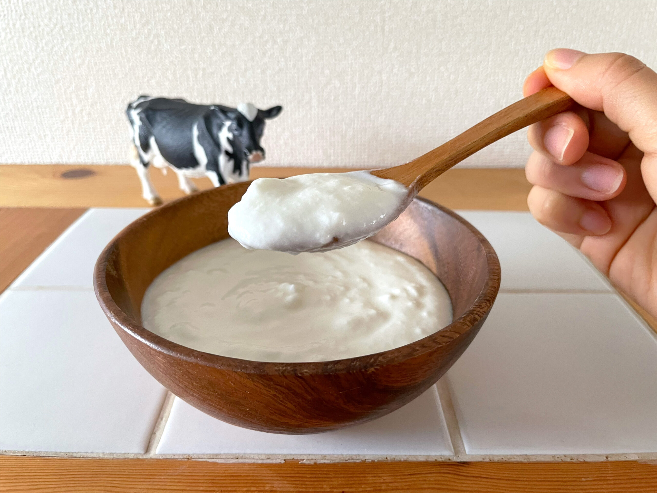 yoghurt01