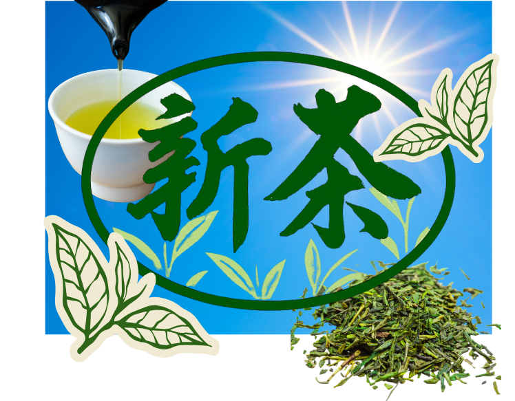 チラシ松田作成② - 2026-03-09T170751.581