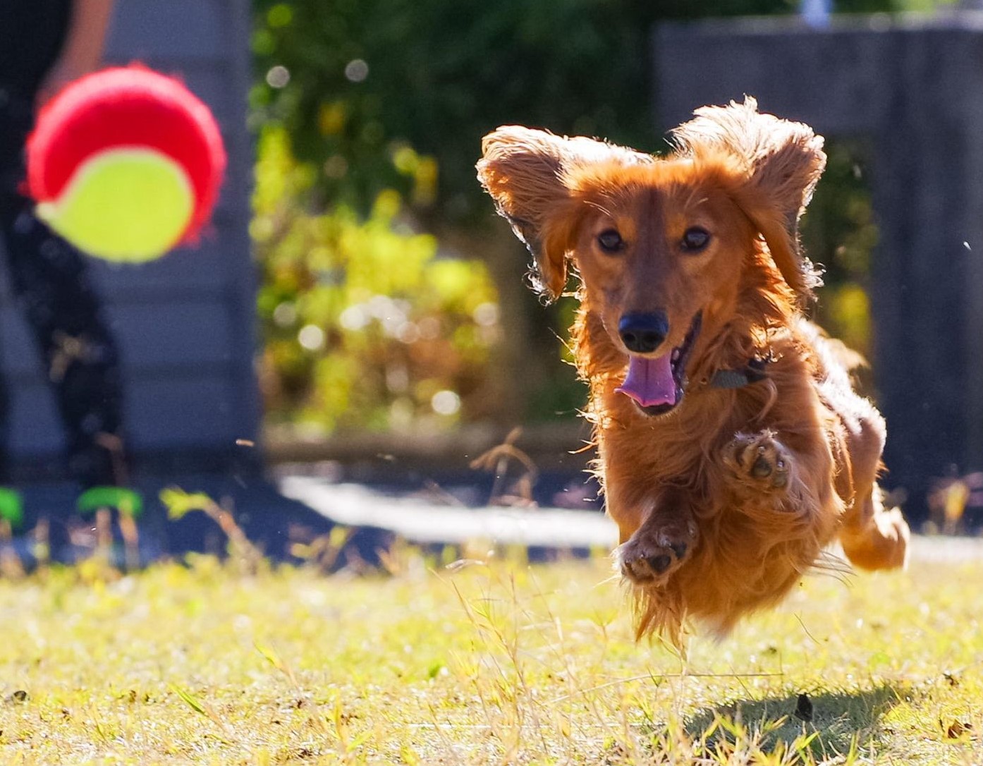 184799993_322662576063156_3702315420714663185_n - コピー