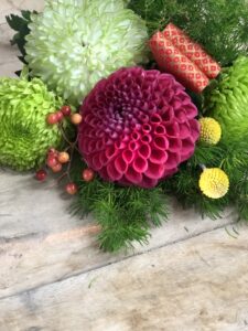 ペピマン正月花4