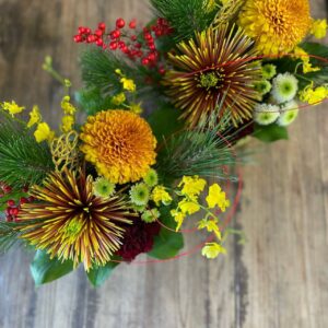 ペピマン正月花2