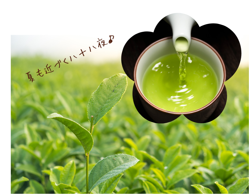 チラシ松田作成② - 2026-04-06T154141.237