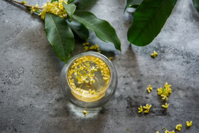 チラシ松田作成② (19)