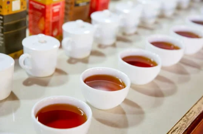 紅茶　飲み比べ　イメージ