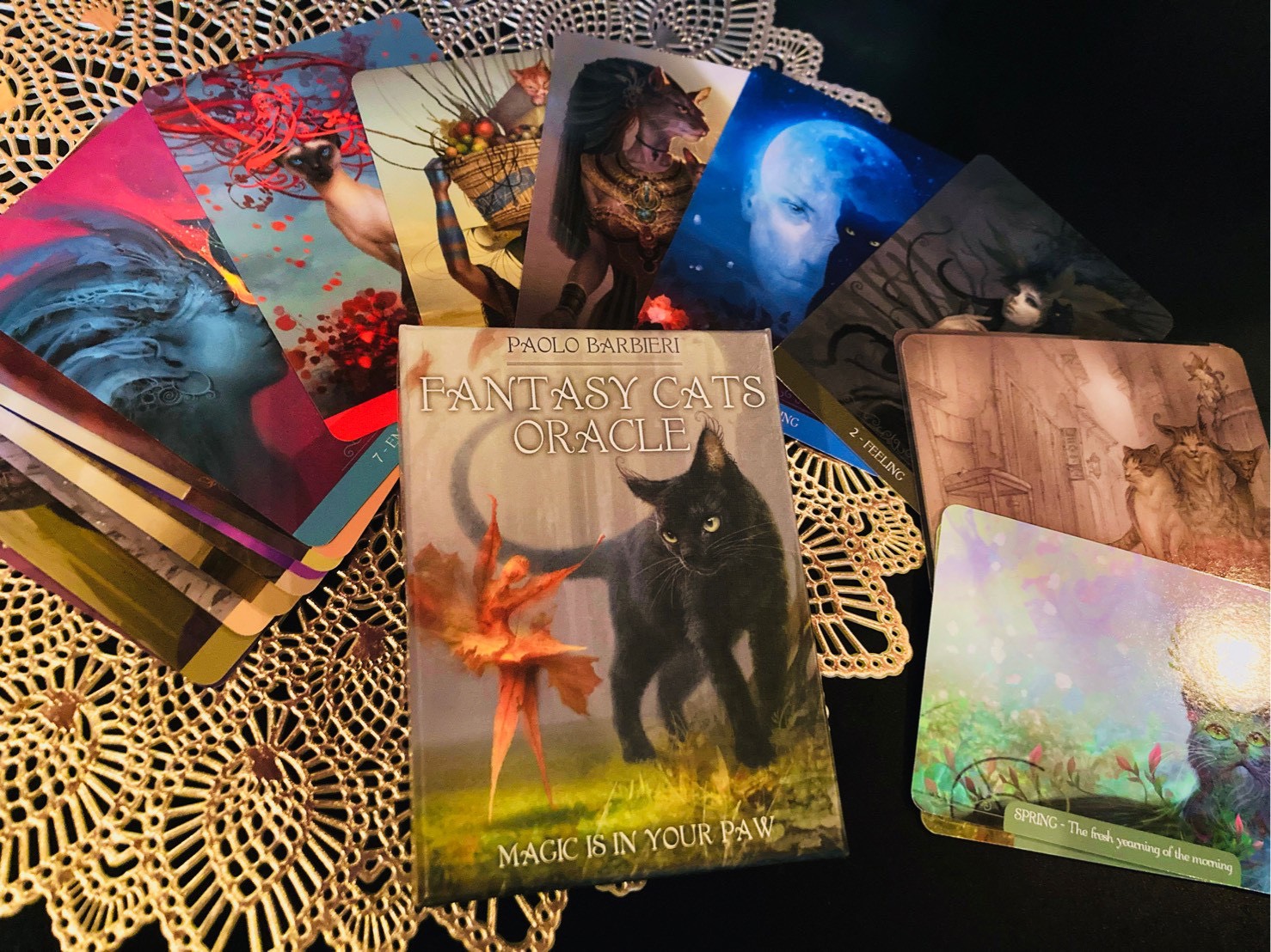 line_oa_chat_251118_105308_group_2