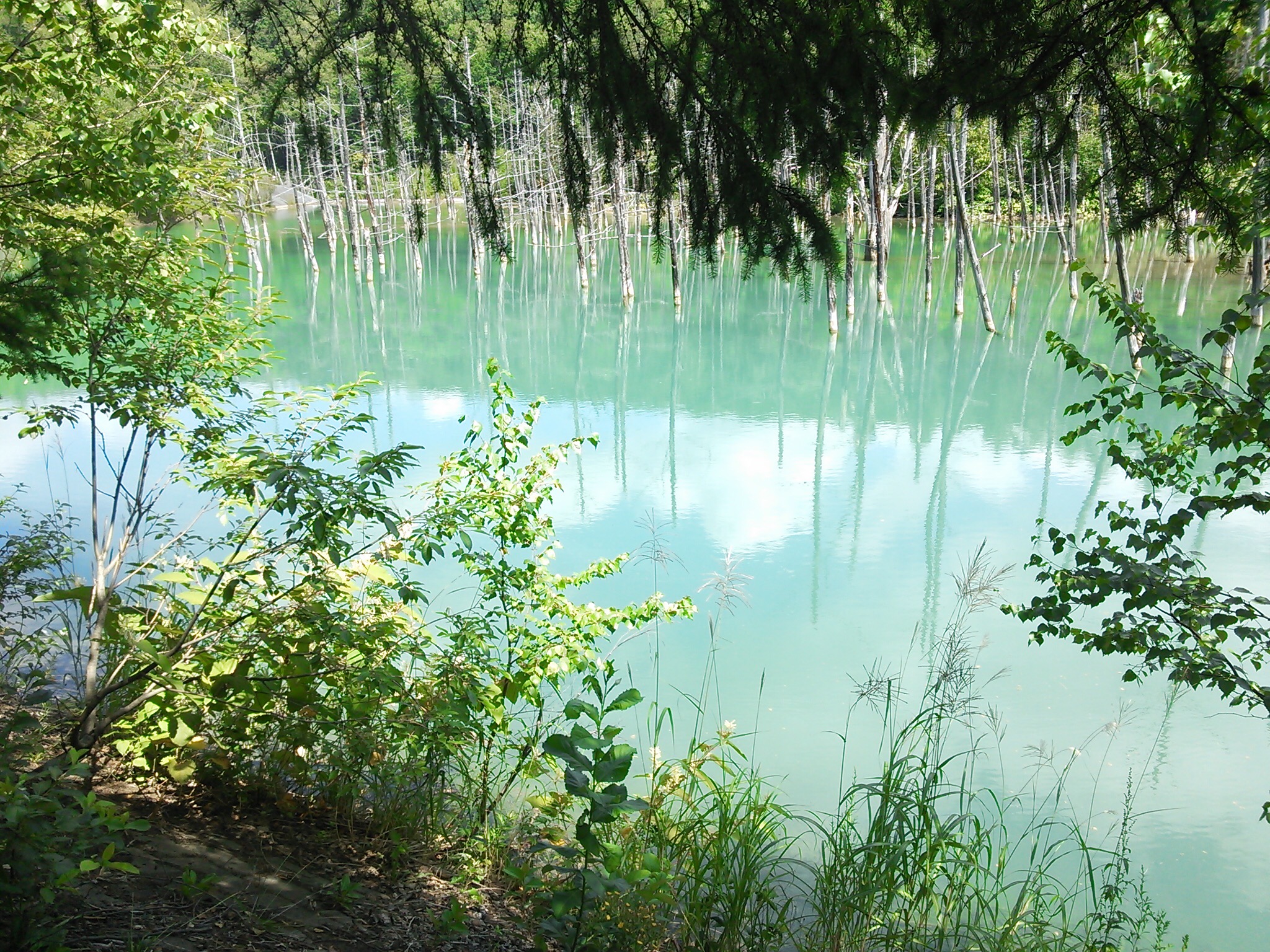 line_oa_chat_260120_184813