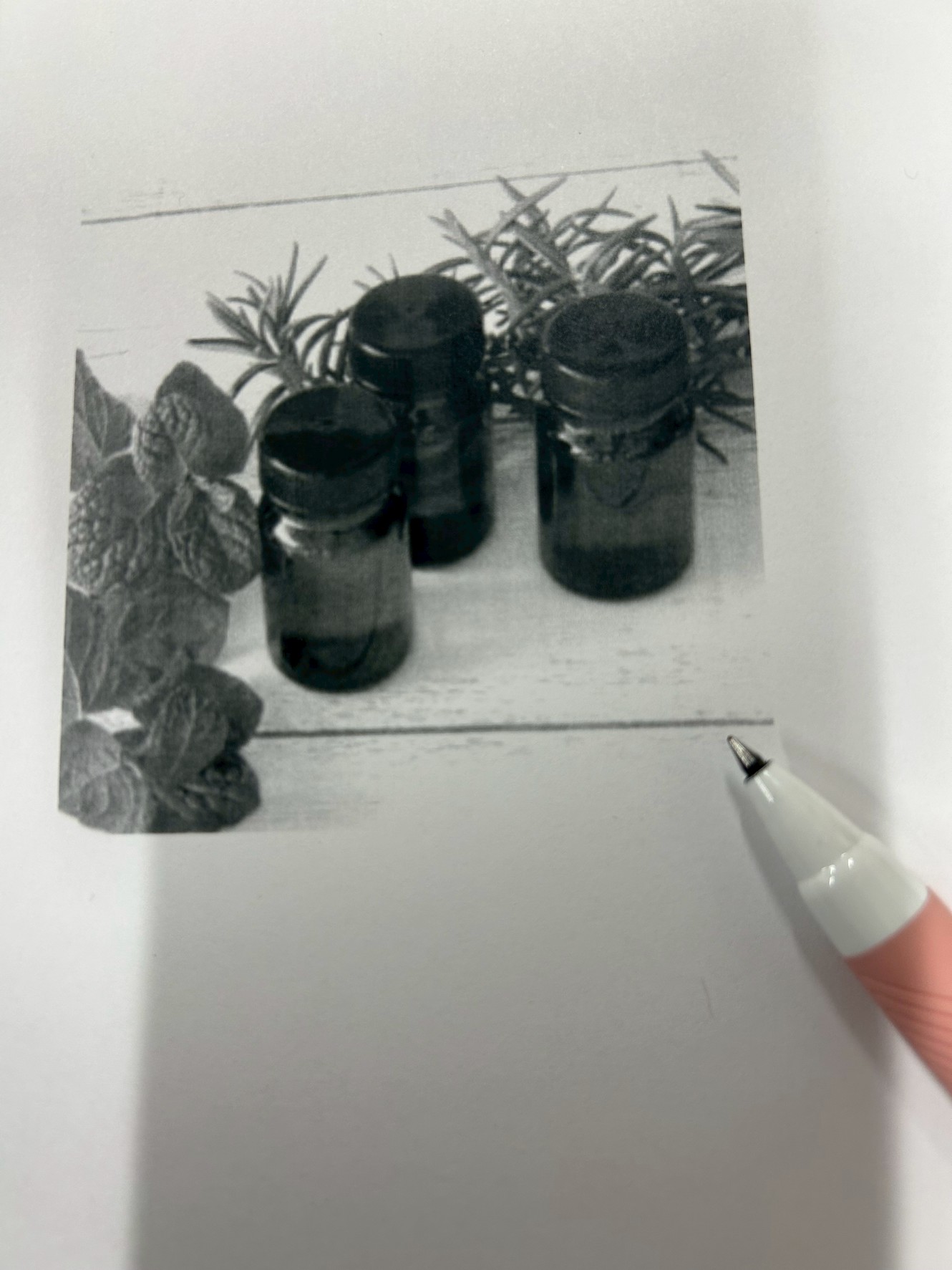 line_oa_chat_260120_185701