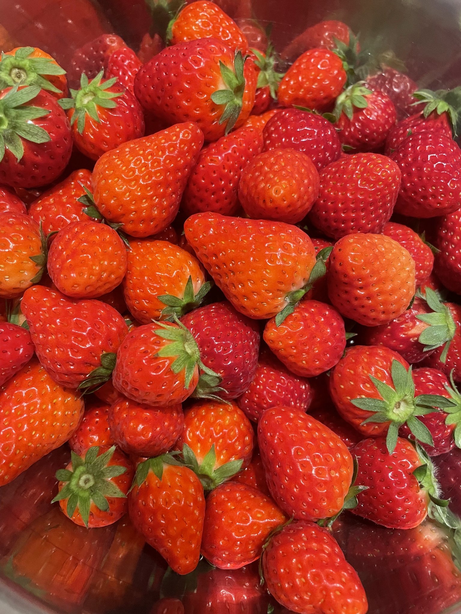 line_oa_chat_260126_101003