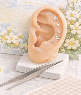 スクリーンショット 2026-02-15 174316