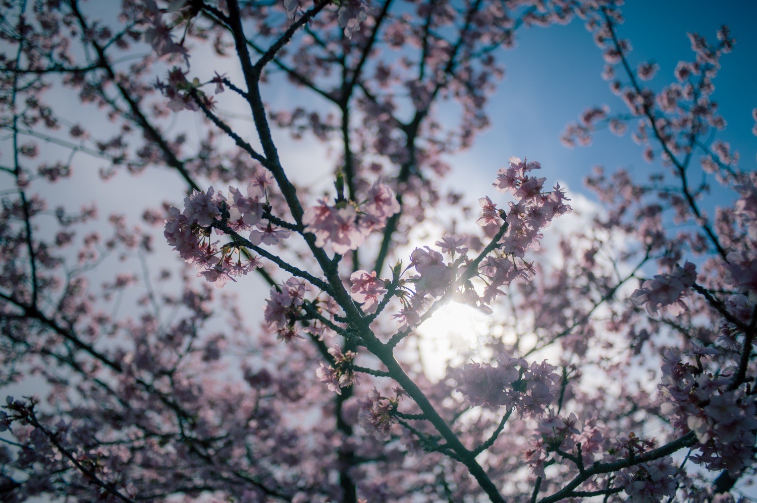 line_oa_chat_260211_160108_group_0