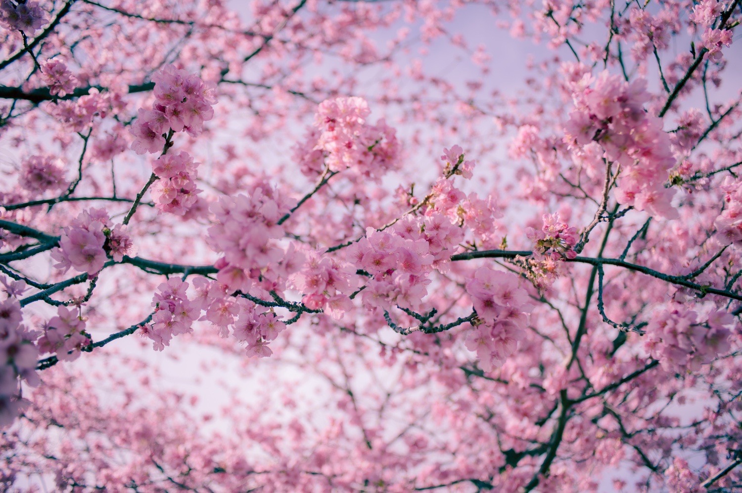 line_oa_chat_260211_160108_group_1