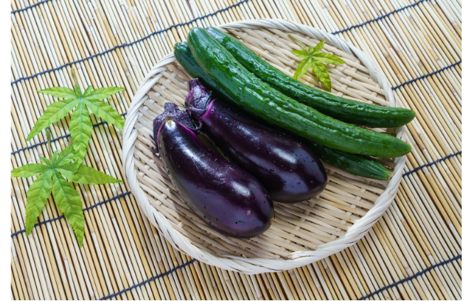 チラシ松田作成② - 2026-03-15T175430.549