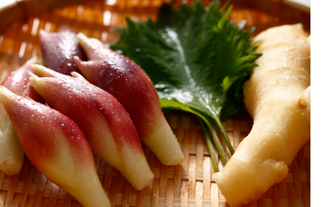 チラシ松田作成② - 2026-03-15T175608.901