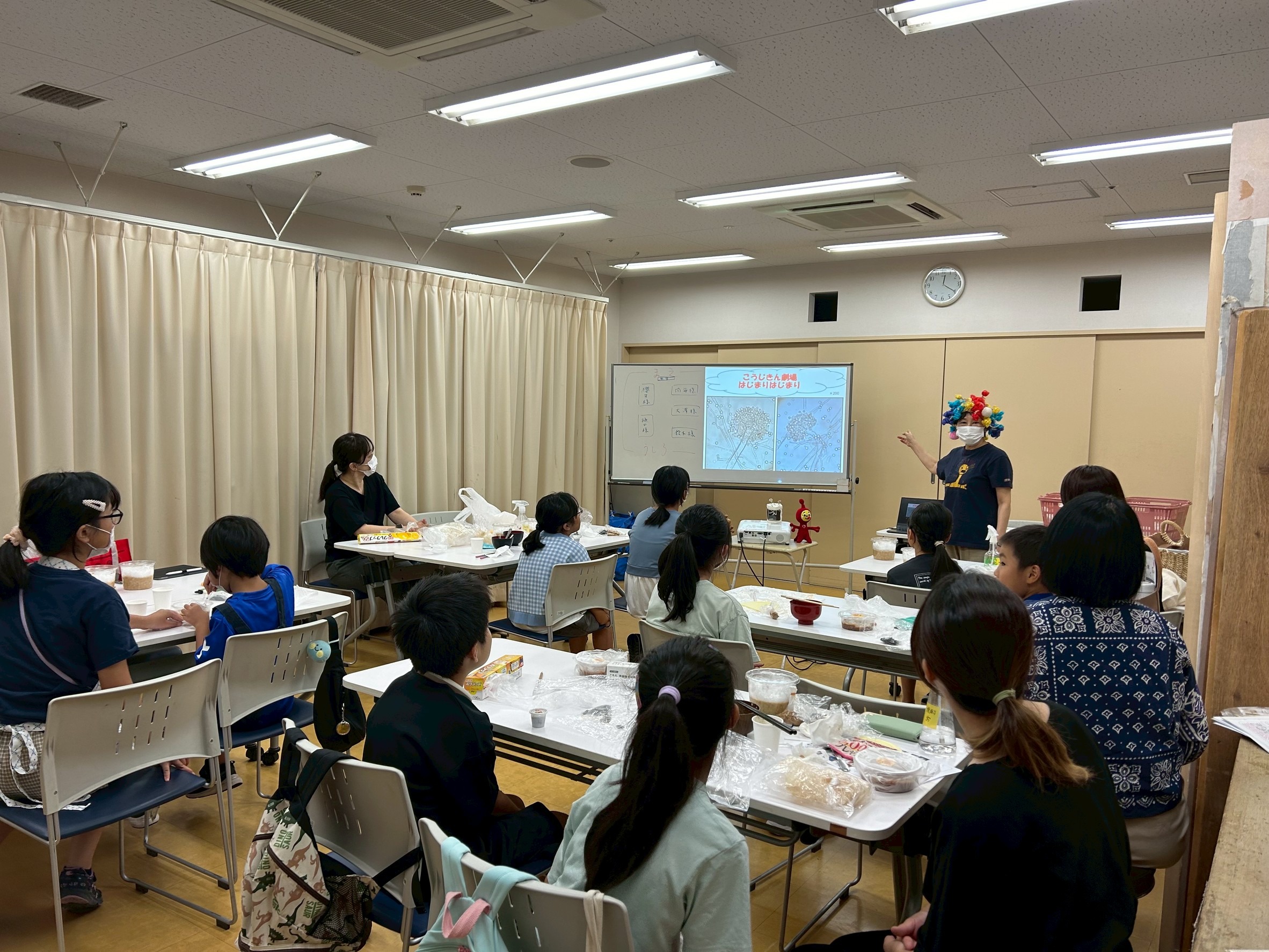 miso_1