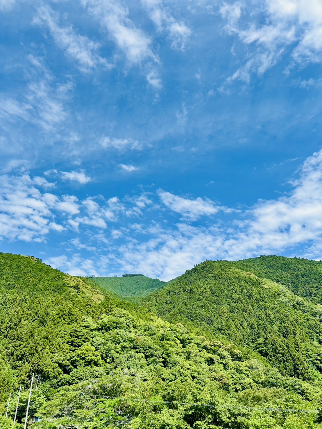 line_oa_chat_260727_144407_group_0