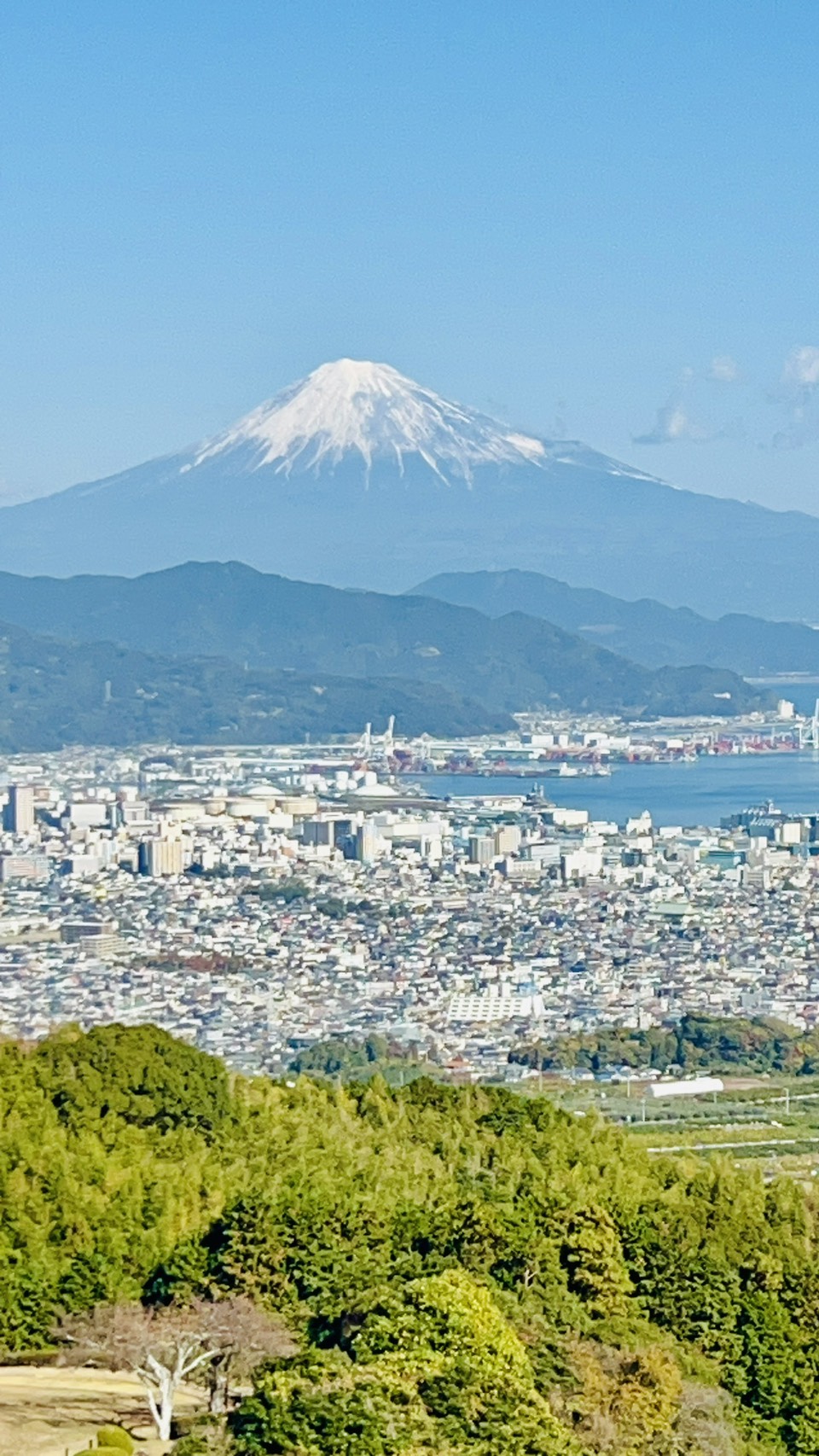 line_oa_chat_260727_144407_group_5