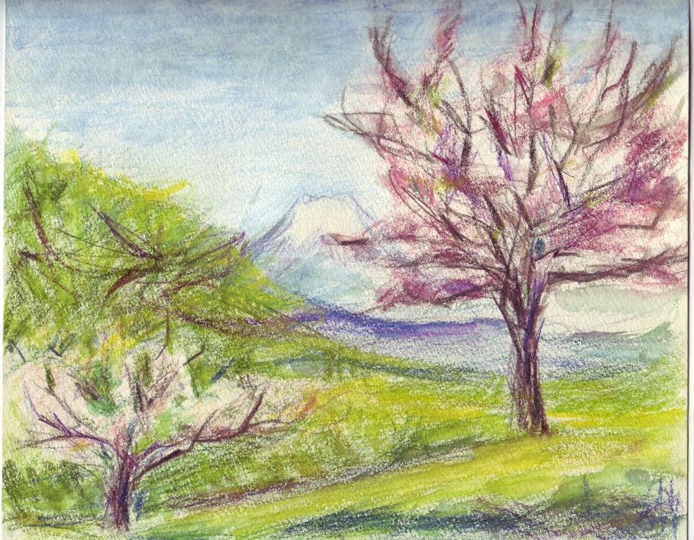 やさしい色鉛筆画 静岡朝日テレビカルチャー